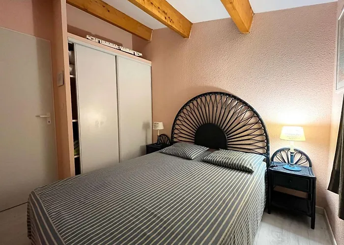 Climatisee Pour 6 Avec Piscine Et Parking Proche - Fr-1-607-42 Tatil Evi Agde